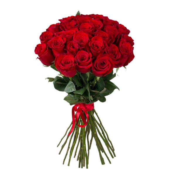  24 Red Roses Bouquet Resim 1