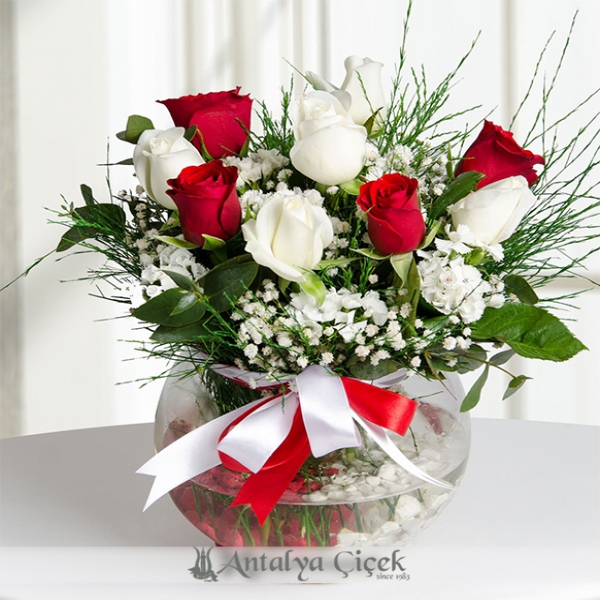 Aşk Küresi Kırmızı Ve Beyaz Güller Resim 1