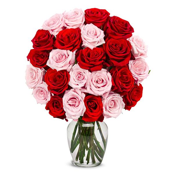24 Розовые и красные розы в вазе Resim 1
