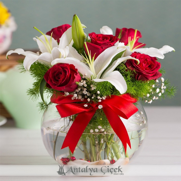 Red Roses and Lilies Arrangement Resim 1