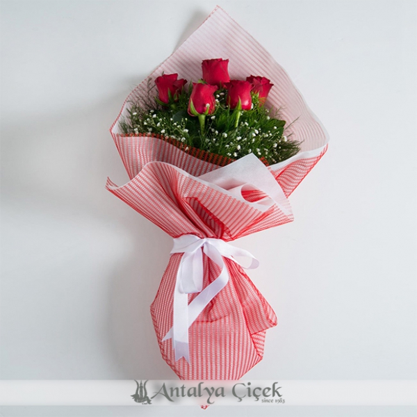 5 rote Rosen bouquet Resim 1